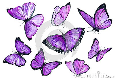 Collection watercolor of flying purple butterflies. Cartoon Illustration