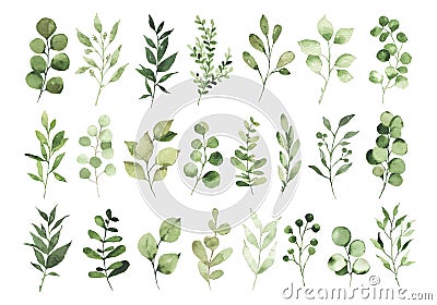Collection of watercolor greenery branch leaves twigs floral plant forest herbs isolated Cartoon Illustration