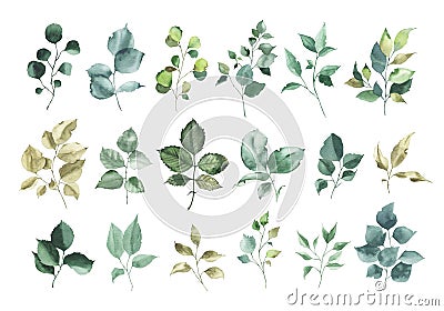 Collection of watercolor greenery floral rose leaf plant Cartoon Illustration