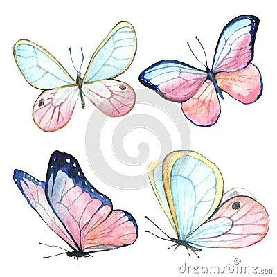 Collection of watercolor images of beautiful butterflies. Cartoon Illustration