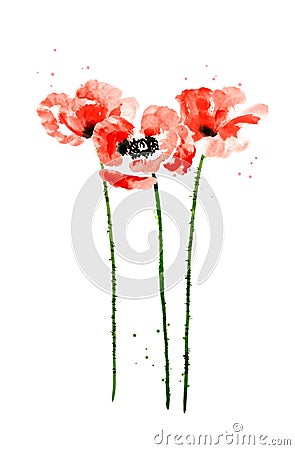 Collection of watercolor poppy flowers Vector Illustration