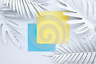 Collection of white tropical leaves,foliage plant with geometric color space background Stock Photo