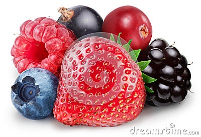 Collection of wild berries Stock Photo