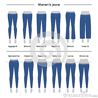 Collection of womens jeans Vector Illustration