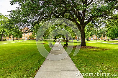 College Campus Stock Photo