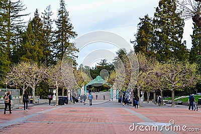 College Students Walking to Class Editorial Stock Photo