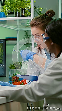 Collegues checking medical expertise on computer researching for gmo meat sample Stock Photo