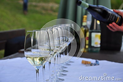 Colli Orientali del Friuli, Italy. Wine tasting glass. Stock Photo