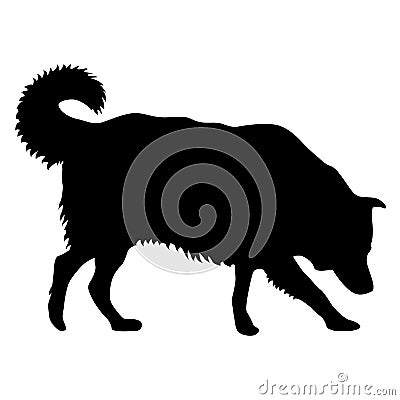 Collie dog silhouette on a white background Vector Illustration