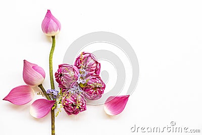 Coloful pink flowers lotus and little purple flowers arrangement flat lay postcard style Stock Photo