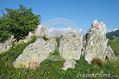 Coloful Rocks And Grass Stock Photo