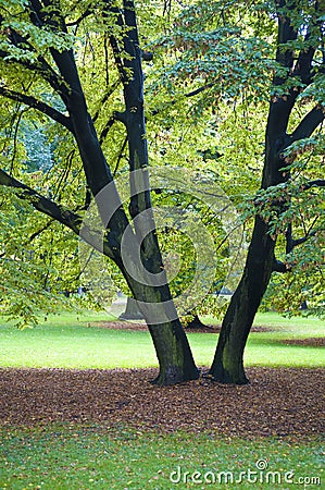 Cologne botanic gardens Stock Photo