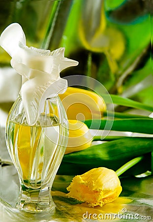 Cologne/perfume bottles Stock Photo