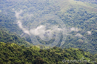 Colombia - rainforest in the Sierra Nevada de Santa Marta Stock Photo
