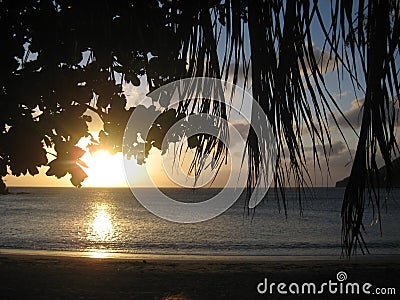 Colombia Taganga Paradise ocean sunset palmtrees beach sand dream Stock Photo