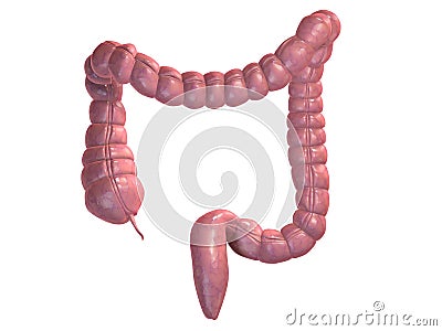 Colon Cartoon Illustration