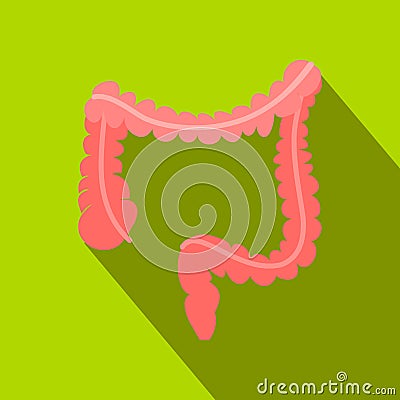 Colon flat icon with shadow Vector Illustration