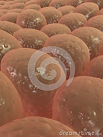 Colon villi Stock Photo