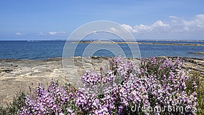 Colonia Sant Jordi, Ses Salines, Mallorca, Spain. Amazing landscape of the Marques beach and the seaside Stock Photo