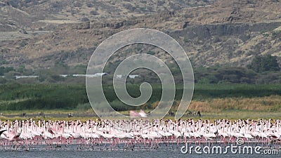 tanzania lake natron plane tanzania lake natron plane
