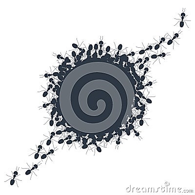 Colony of marching ants round contour banner Vector Illustration