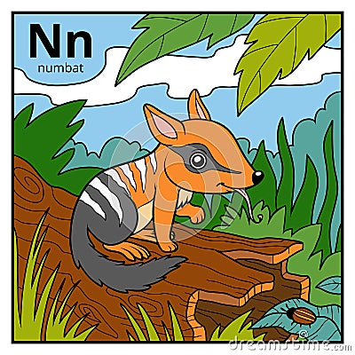 Color alphabet for children, letter N numbat Vector Illustration