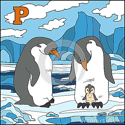 Color alphabet for children: letter P (penguin) Vector Illustration
