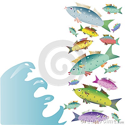 COLOR BEAUTIFUL SMALL FISHES ON THE WHITE BACKGROUND Stock Photo