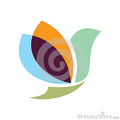 Color Bird Vector Illustration