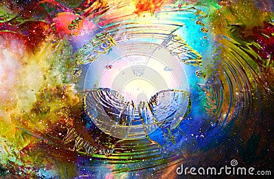 Color Butterfly in color swirl. Glass effect. Color cosmic abstract background. Stock Photo