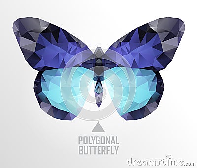 Color butterfly flying Vector Illustration