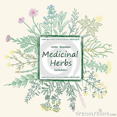 Color card of a medicinal herbs and flowers. Vector Illustration