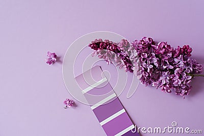 Color catalogue, an example of lilac on paper sample and lilac flowers. The color palette used by the designer to select the Stock Photo