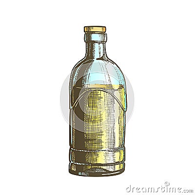 Color Closed Standard Drink Tequila Glass Bottle Vector Vector Illustration