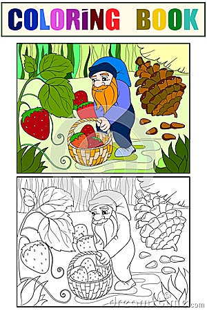 Color and coloring, cartoon, scene. Dwarf in the forest collects strawberries, berries. Cartoon Illustration