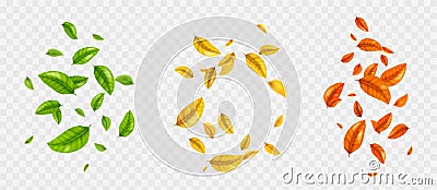 Color foliage swirls set on transparent background Vector Illustration