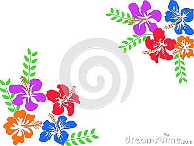 Color Hawaii hibiscus background Vector Illustration