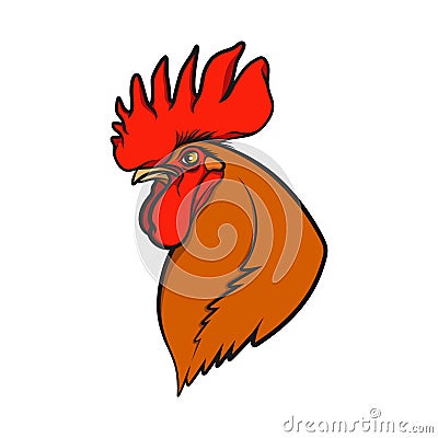 Color illustration with head rooster or cock. Isolated vector object. Vector Illustration