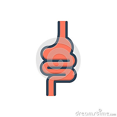 Color illustration icon for Intestine, appendix and human Cartoon Illustration