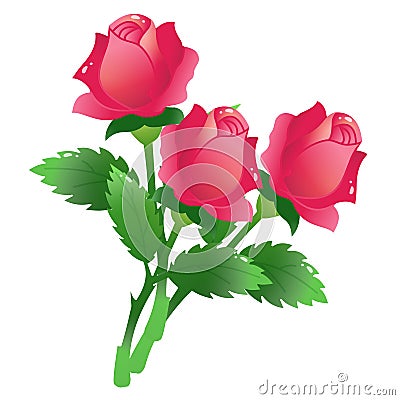 Color image of bunch of scarlet roses on white background. Flowers. Vector illustration Vector Illustration