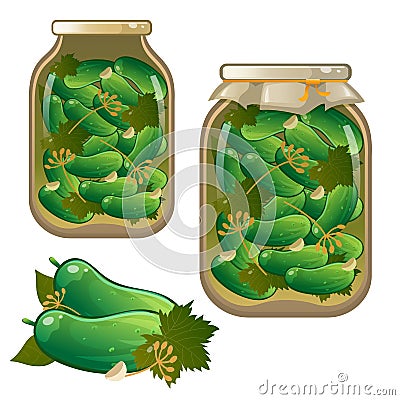 Color image of jar of pickles. Pickled cucumbers. Vegetables. Marination. Food and cooking. Vector illustration set Vector Illustration