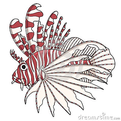 Color image lionfish. EPS10 Vector Illustration