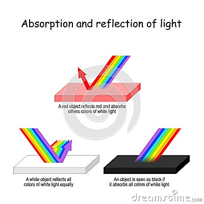 Color light Absorption and reflection Vector Illustration