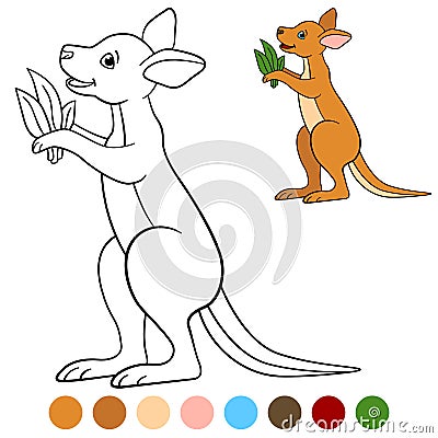 Color me: kangaroo. Little cute baby kangaroo smiles. Vector Illustration