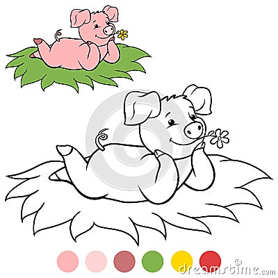 Color me: Little cute piglet lies on the grass and smiles. Flower in the mouth Vector Illustration