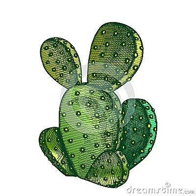 Color Opuntia Azurea Prickly Pear Cactus Ink Vector Vector Illustration