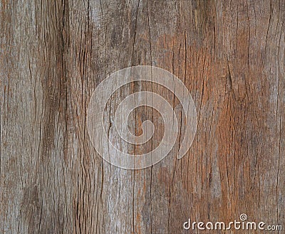 color painted old grunge wood wal, texture or vinrage wood background. Stock Photo