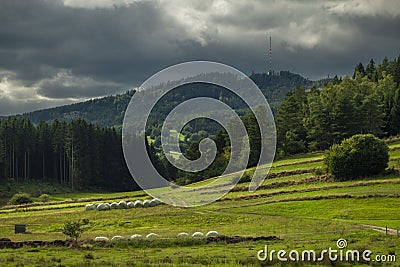 Color pasture lands and meadows in north Austria with dark stormy sky Stock Photo