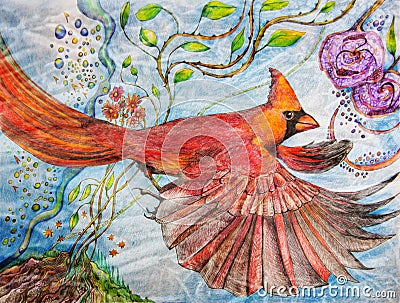 Color pencil painting of a male cardinal in flight Stock Photo