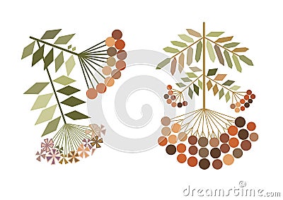 Color rowan branches stylization Vector Illustration